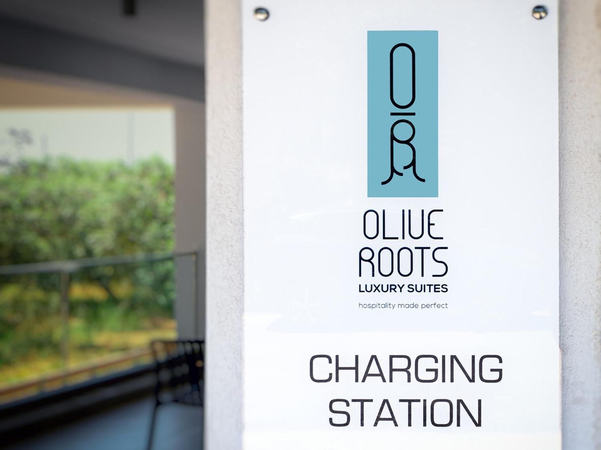 Olive Roots Skala Rachoni (Thasos) Exterior foto