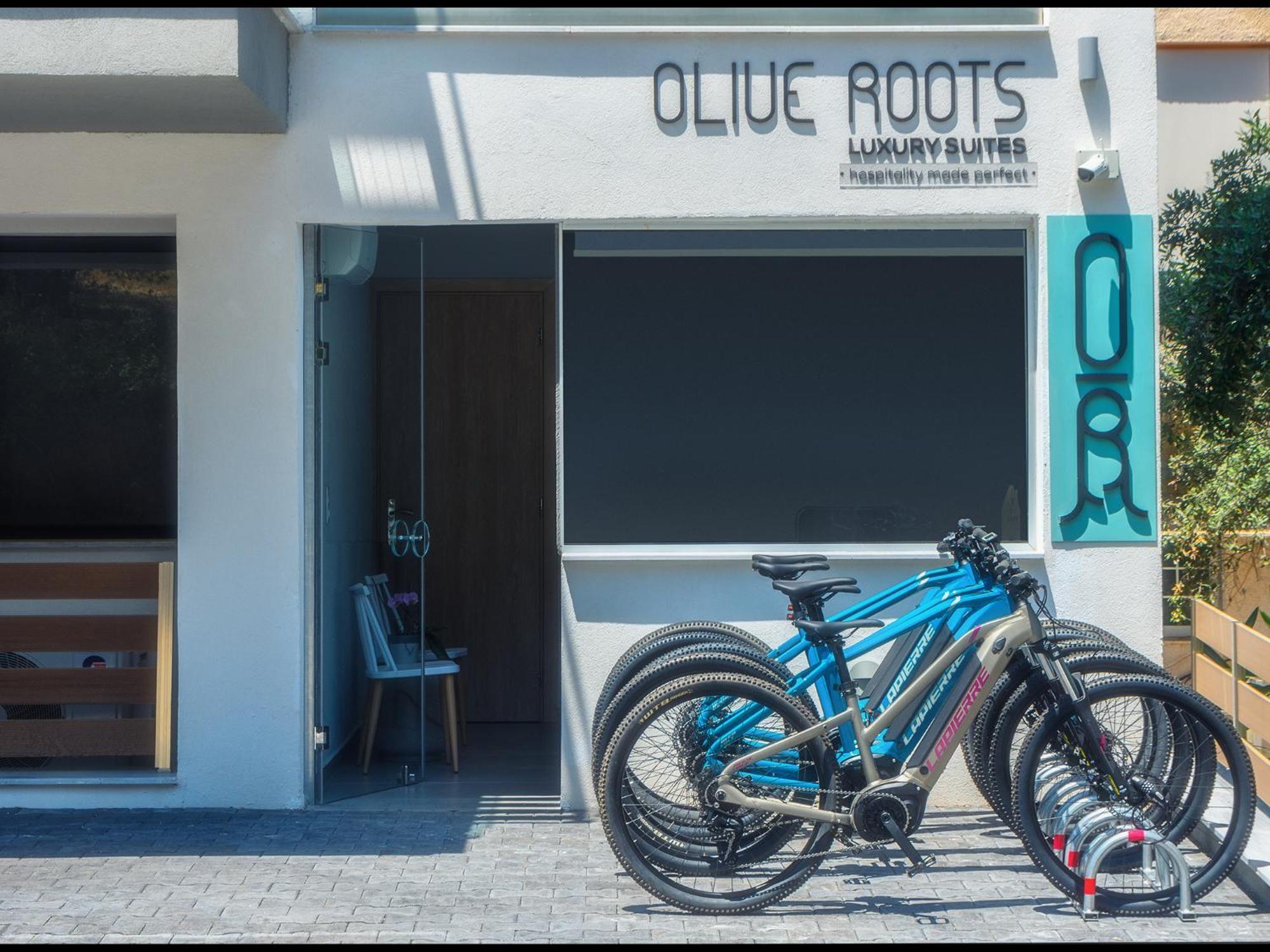 Olive Roots Skala Rachoni (Thasos) Exterior foto